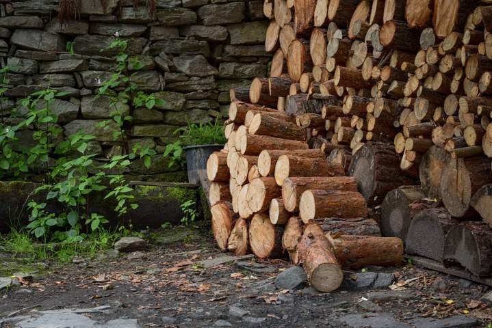 Vente bois de chauffage, Cessy