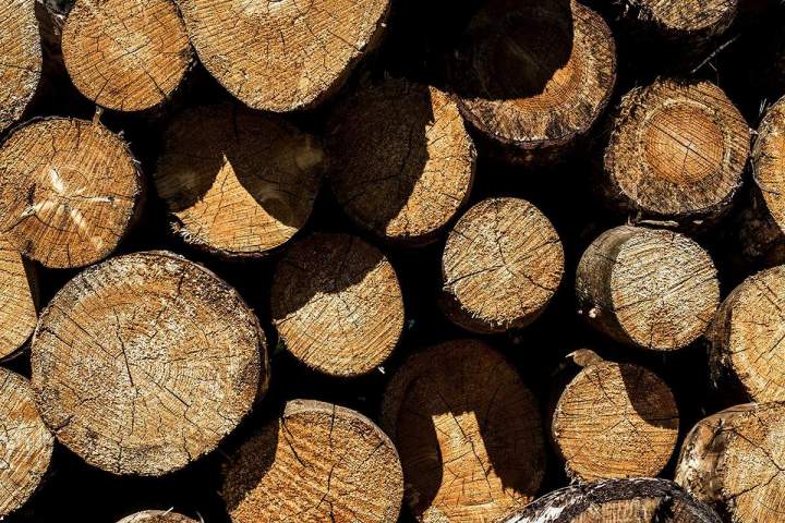 Vente bois de chauffage Échenevex