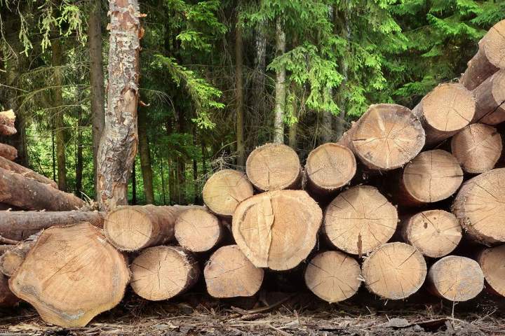 Livraison bois Échenevex