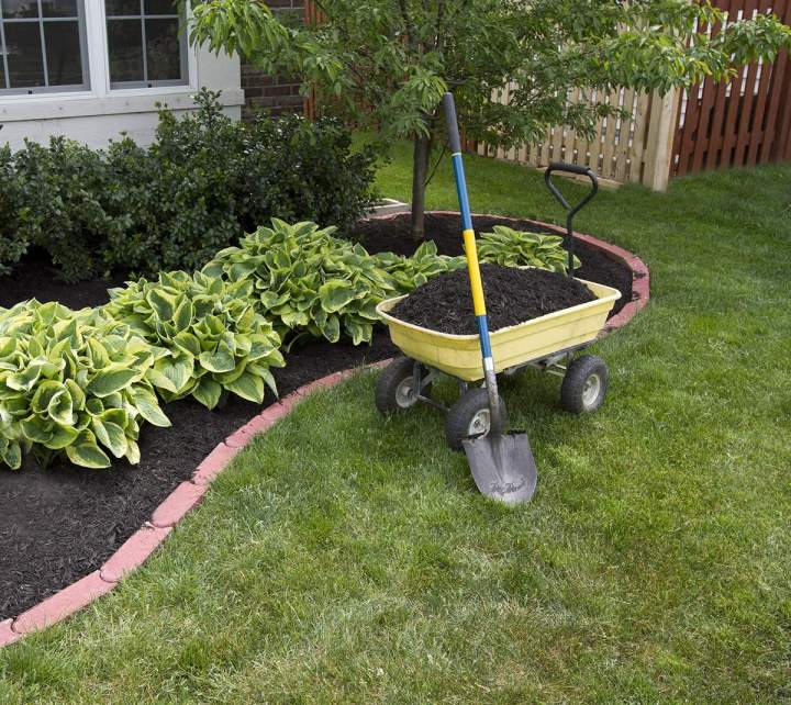 Entretien jardin Échenevex