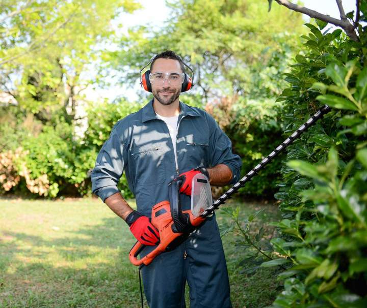 Paysagiste Échenevex